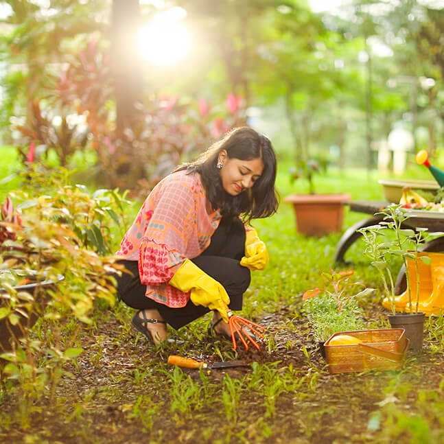How this experiment helps employees interact with nature more directly