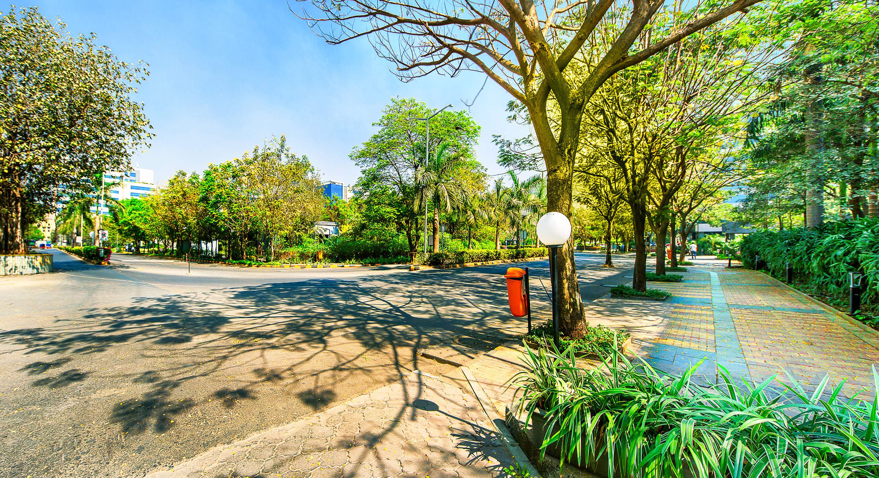 The future of green real estate: Net zero energy buildings and technological innovations