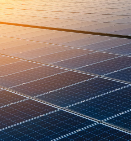 Carbon Neutral Operations