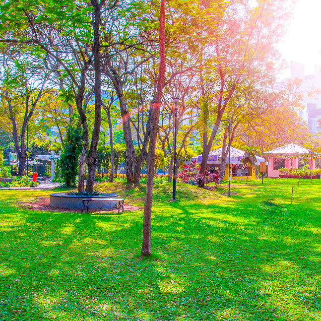 Mindspace REIT creates unique Bio-Sonification Zone at its campus in Airoli