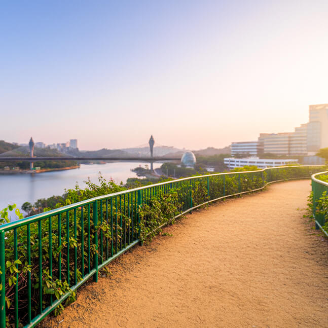 Durgam Cheruvu gets new lease of life