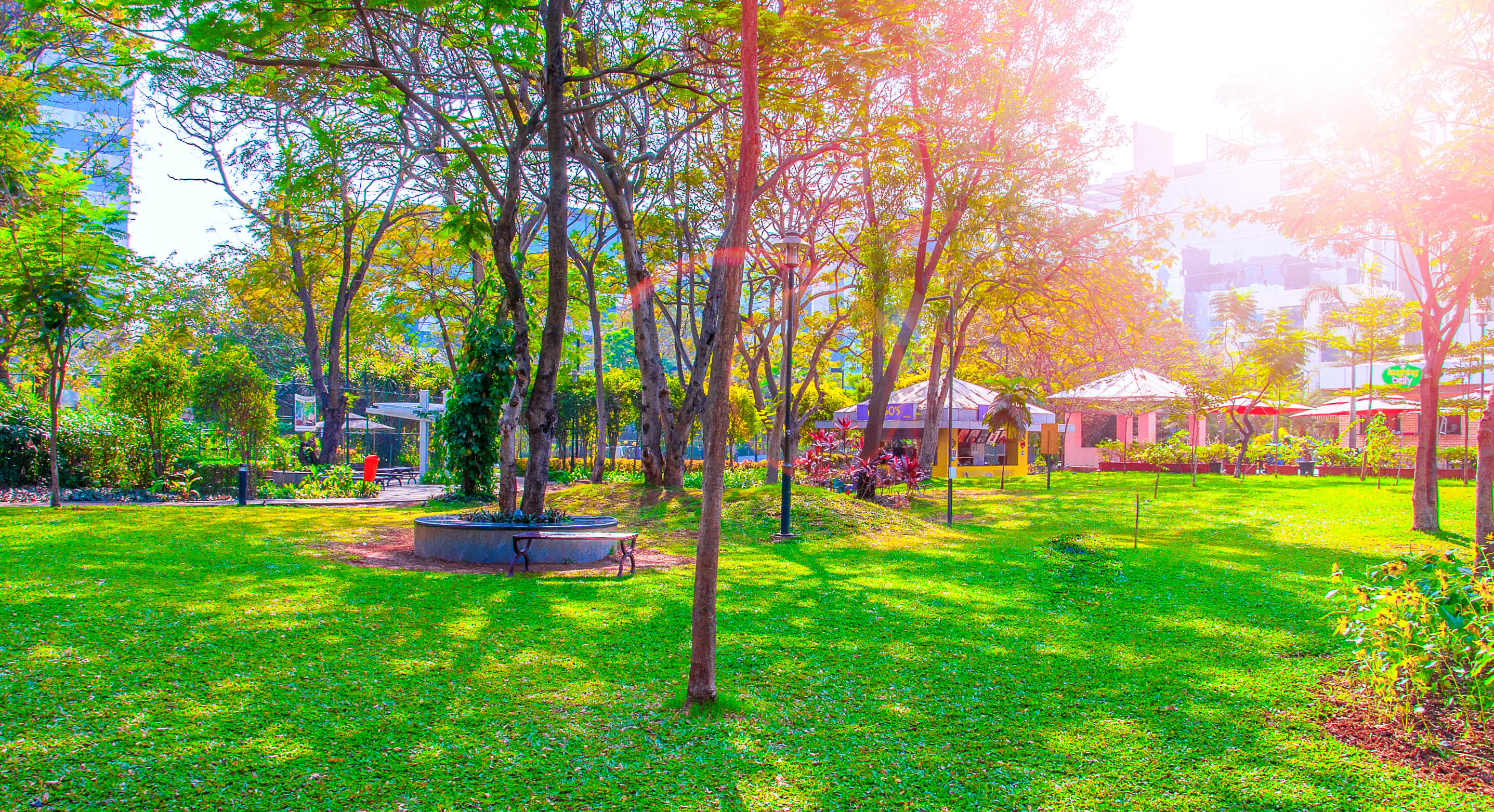 Mindspace REIT creates unique Bio-Sonification Zone at its campus in Airoli